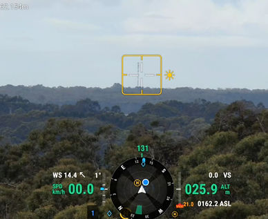 DIWA Teleco LOS_edited.jpg