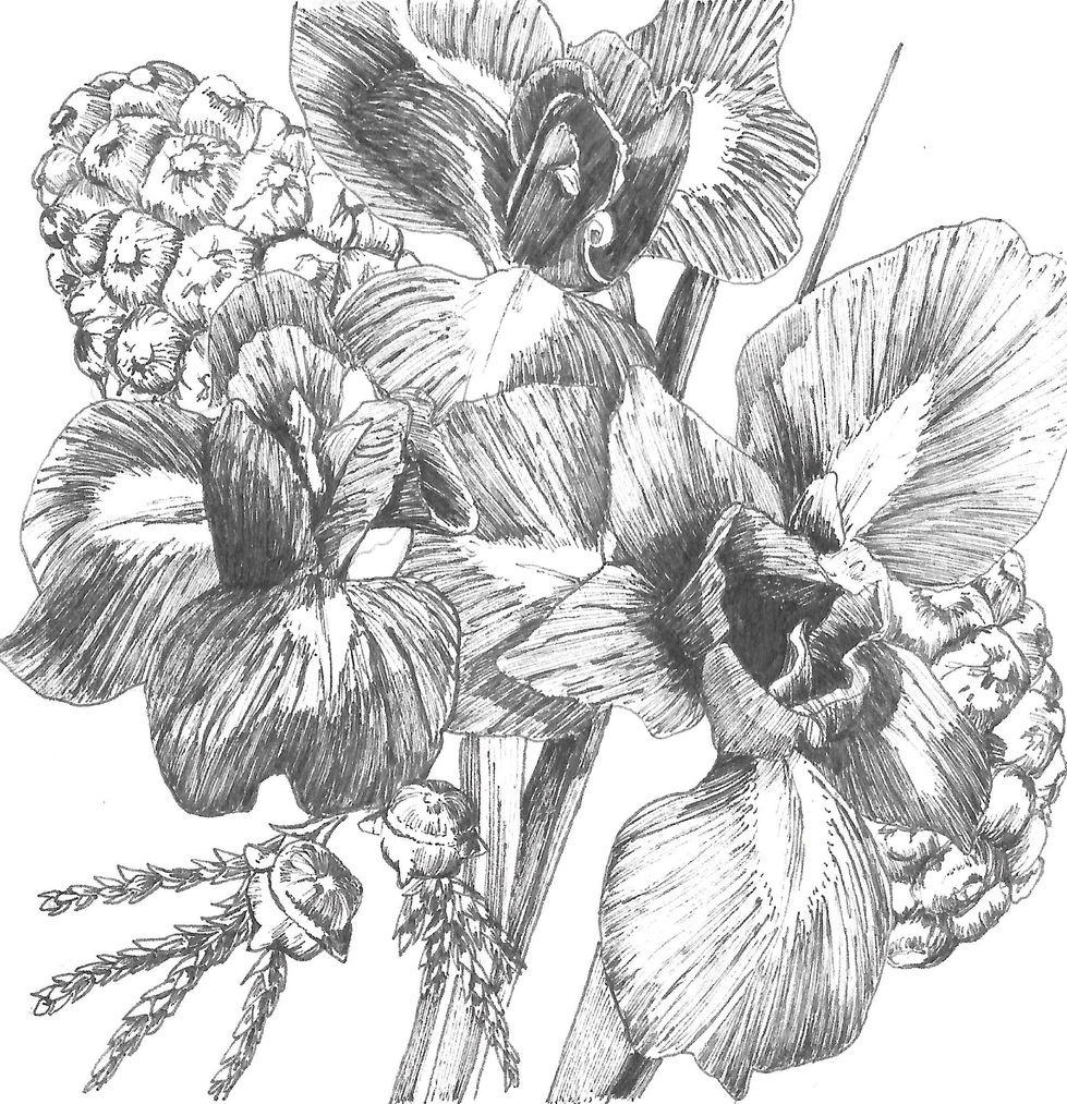 2019-09-23 600ppp0001_edited.jpg