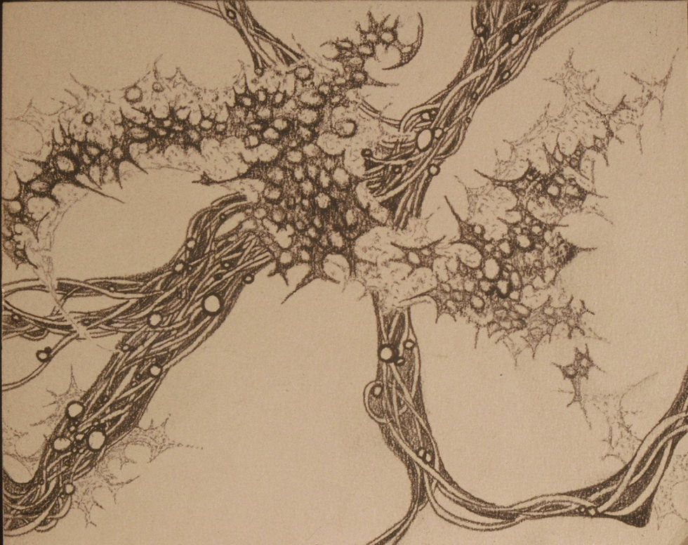 Graphite on strathmore