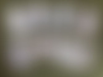 “Tacky Tourists” having fun in the sun!