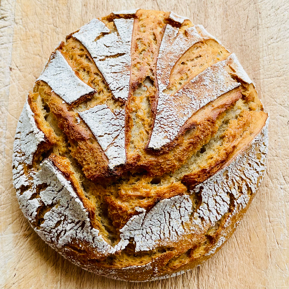 Le Barbu du Roussillon (Blé Ancien) - AB