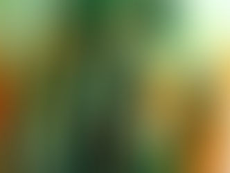 Mostra virtuale "Thorn Edge" ,2024