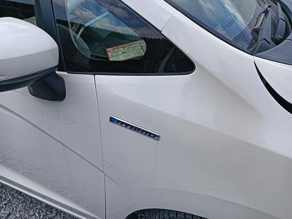 Honda Fit Hybrid 2014 DAA-GP5
