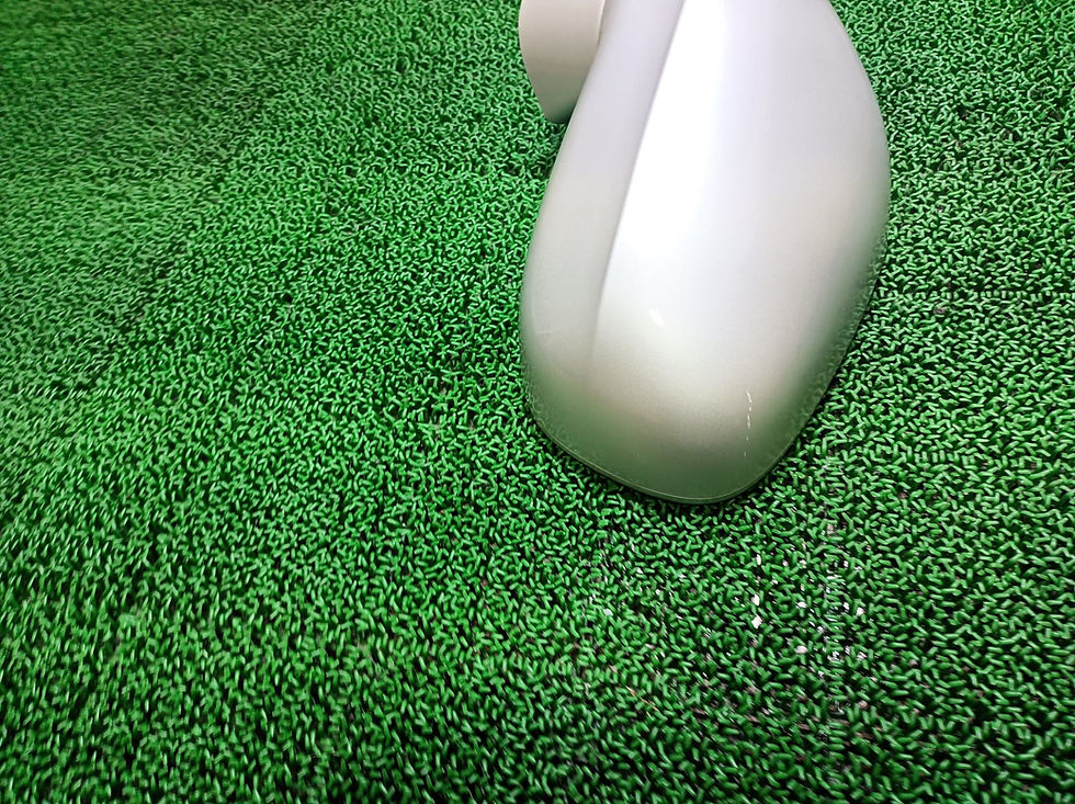 サムネイル： Lexus IS250 2006 DBA-GSE20