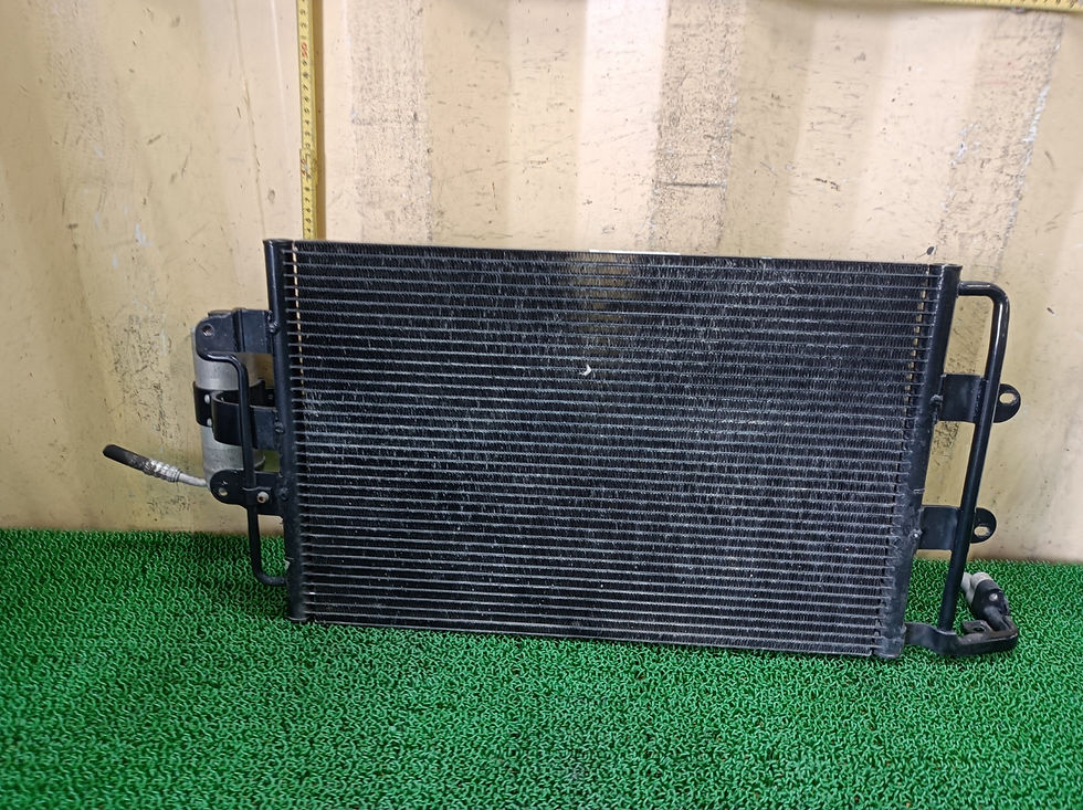 Volkswagen New Beetle 2007 ABA-9CAZJ