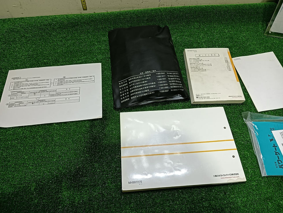 Mitsubishi FUSO CANTER GUTS 2008 PDG