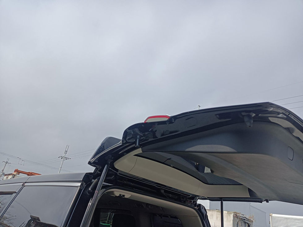 Miniature : NISSAN ELGRAND 2010 DBA-PE52