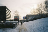 urban settlement