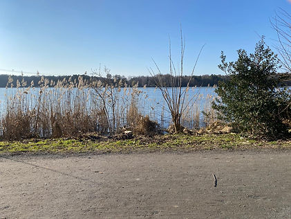 Wohnung Heiligen See.jpeg