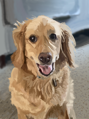Untitled_Artwork(3).PNG