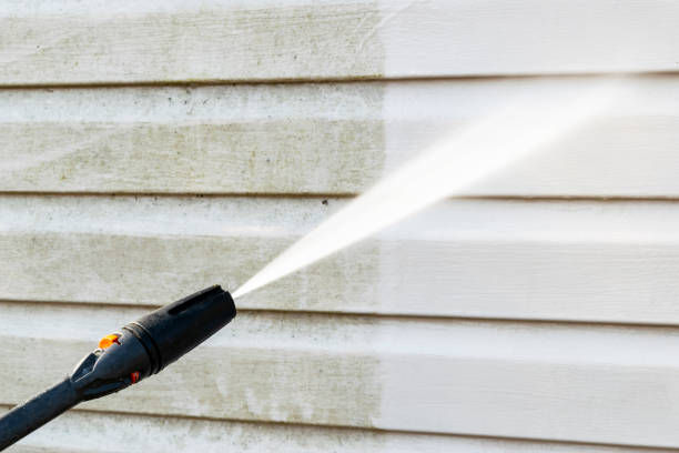 istockphoto-1145660167-612x612.jpg