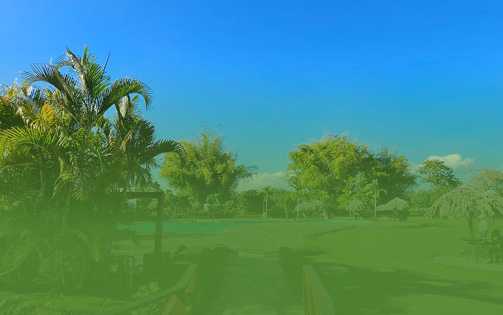 background.jpg