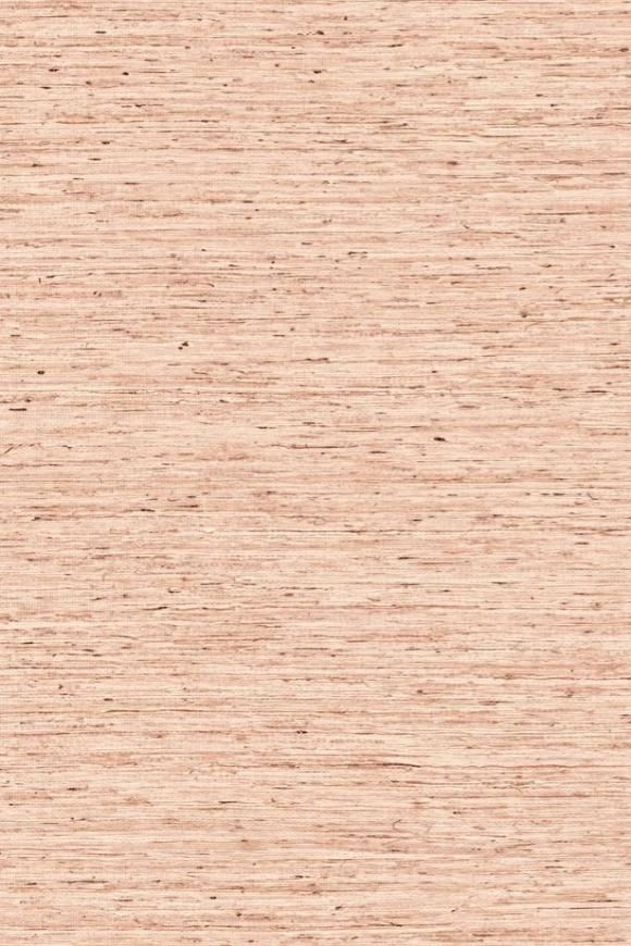 tapet vinilic, tapet pampas, tapet cluj , accent decor