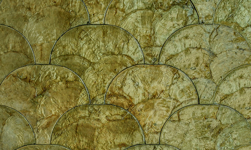 tapet cluj, tapet samal, tapet accent decor, tapet de lux, tapet natural, tapet cu scoici, tapet incrustat, tapet geometric