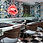 Miniatură: Tapet cluj, tapet accent decor, tapet lavabil, tapet botanic, tapet figura, tapet de lux, magazin tapet cluj