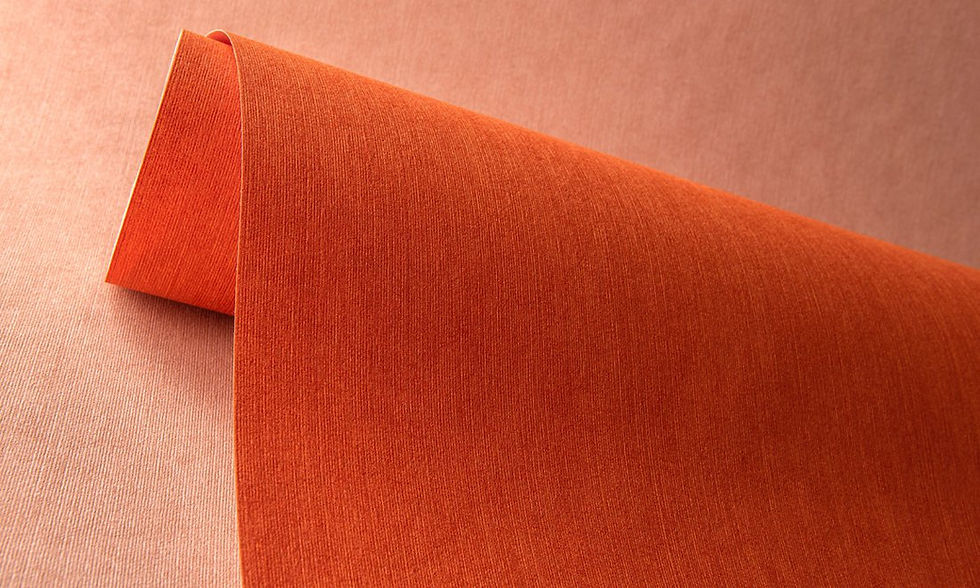 Miniatură: tapet cluj, tapet accent decor, tapet de lux, tapet les nuances, decor minimalist, decor cu tapet, tapet