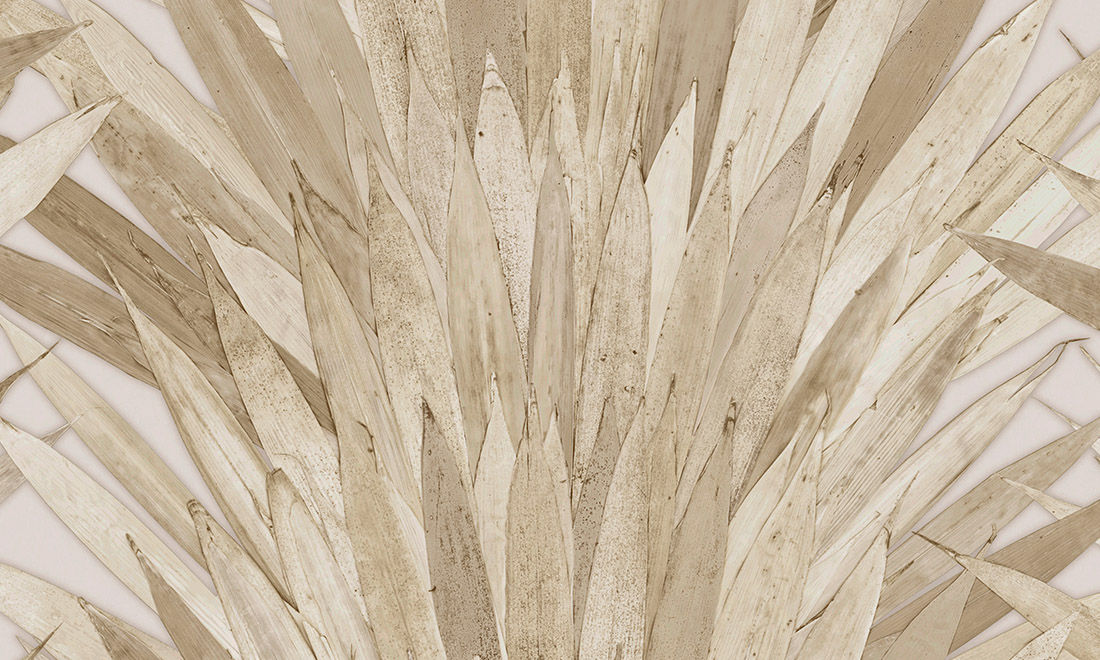 Selva 34004