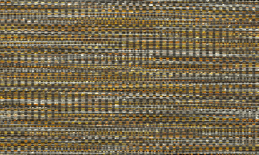 Osmanthus 54561