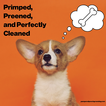 Dog_Grooming_SM_1080x1080px.png
