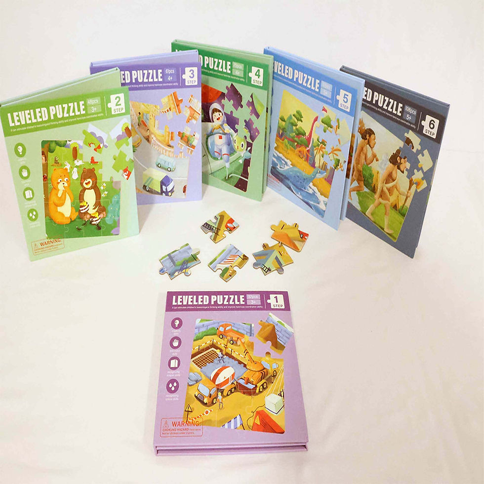 Thumbnail: Magnetic Puzzle Book (Level 6 - Human Evolution)