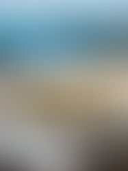 Saveurs de Gironde : entre vignes, océan et tradition