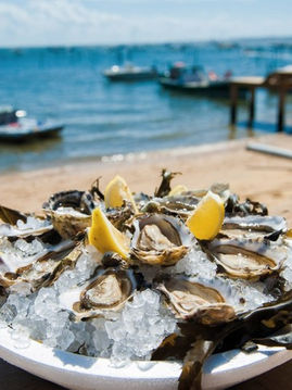 Saveurs de Gironde : entre vignes, océan et tradition