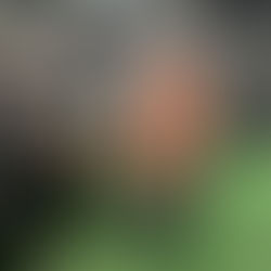 #CalmetaHomeWorkout - Mardi 17 août