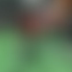 #CalmetaHomeWorkout - Jeudi 12 Août