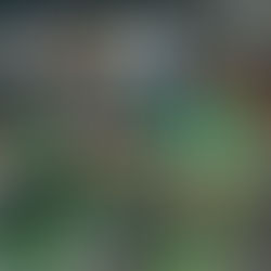 #CalmetaHomeWorkout - Lundi 16 août