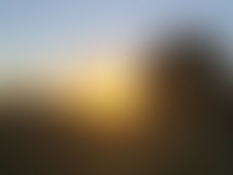 November - Our Website is Live!