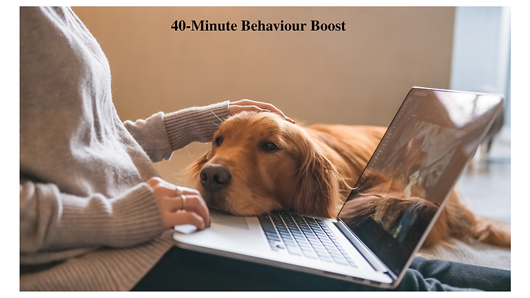 45-Minute Behaviour Boost (1).png