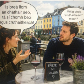 Anamataíocht  Chomhrá 1