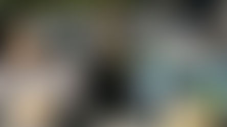 How to Curate a Blue & White Collection