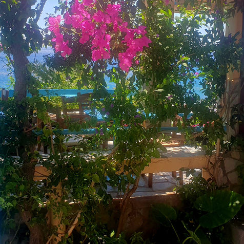20230710_143447.jpg