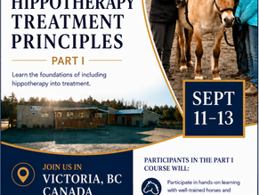 Expand Your Therapeutic Practice with Hippotherapy