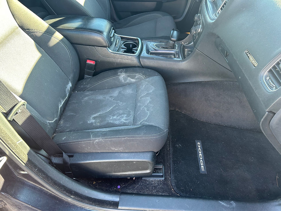 heavily soiled dirty cloth car seats. Many white stains