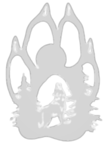 image_50428417_edited_edited_edited_edited.png