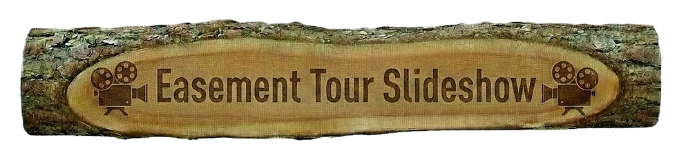 generated_image_edited.png