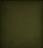 generated_image.webp