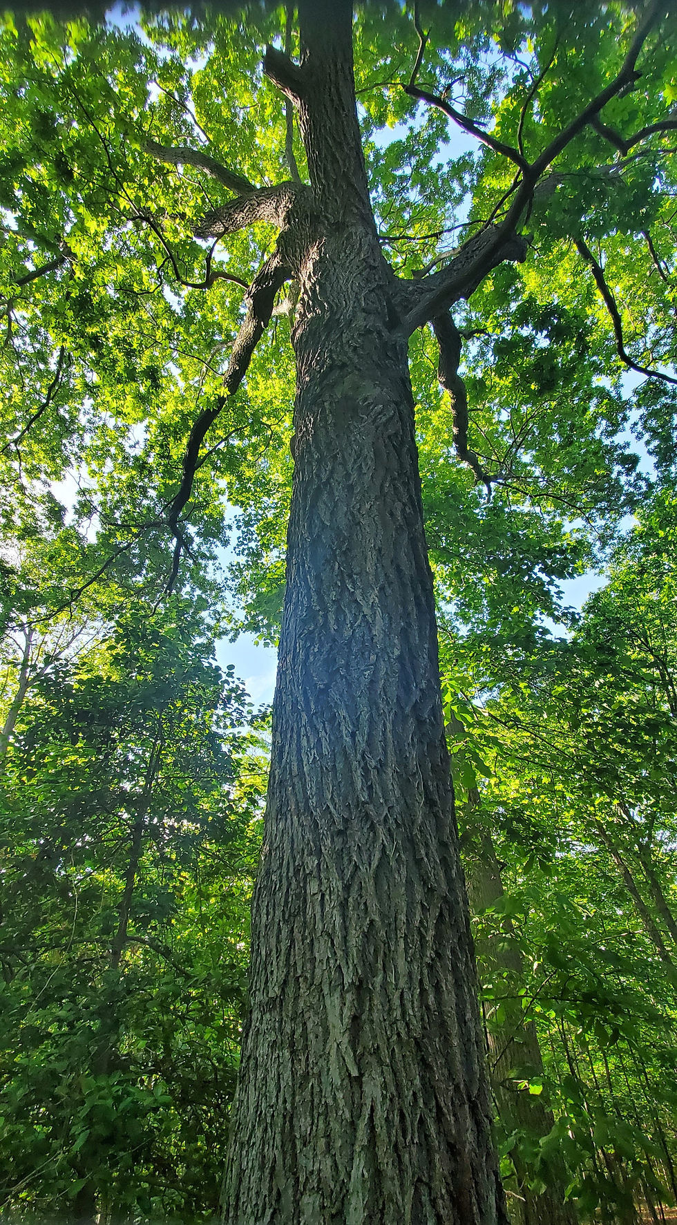 20200527_172523.jpg