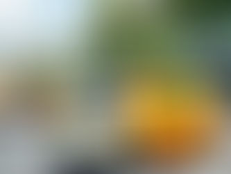 Bulk Mobiles Mobile Fleet Strategy: The Lucrative Niche of Logistics & Courier Services