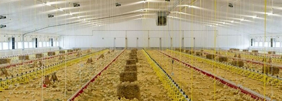 GALPÃO DE USO PERSONALIZADO