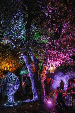 Fire Fall 2015 - Christine Ciarcia Photography