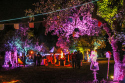 Fire Fall 2015 - Christine Ciarcia Photography