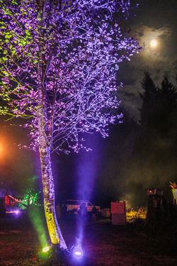 Fire Fall 2015 - Christine Ciarcia Photography