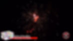 Thumbnail: Birds of Paradise