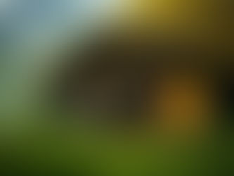 Making Dynamic Videos in Midjourney: Loop and Start-End Frames