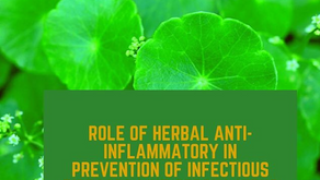 Herbal Anti-Inflammatory for a Healthy Immune System