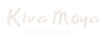 KM long NoBG_edited.png