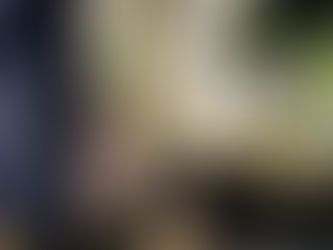 3 Tips to Make Walking your Lunging, Barking Dog Less Stressful